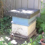 Hive Update: Movin' On Up!