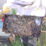 Hive Update: Setting Up the Payoff